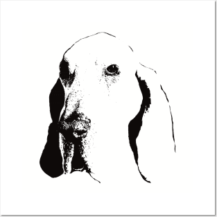 Bracco Italiano gift for Bracco Owners Posters and Art